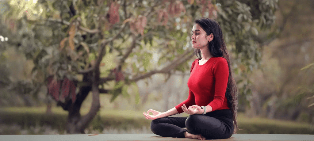 Yoga Studio in Narhegaon